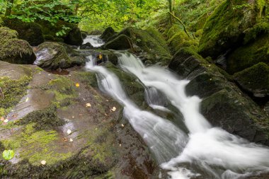 Exmoor Ulusal Parkı 'ndaki Watersmeet' te Hoar Oak Nehri 'nde uzun süre bir şelale görüldü.