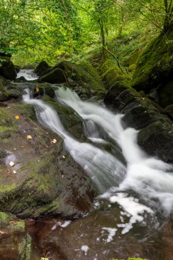 Exmoor Ulusal Parkı 'ndaki Watersmeet' te Hoar Oak Nehri 'nde uzun süre bir şelale görüldü.