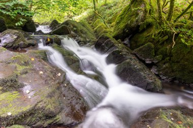 Exmoor Ulusal Parkı 'ndaki Watersmeet' te Hoar Oak Nehri 'nde uzun süre bir şelale görüldü.