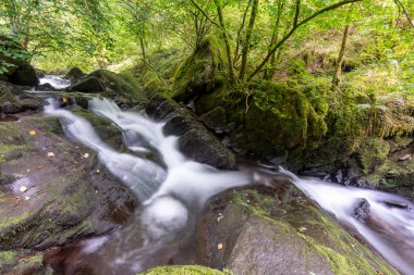 Exmoor Ulusal Parkı 'ndaki Watersmeet' te Hoar Oak Nehri 'nde uzun süre bir şelale görüldü.