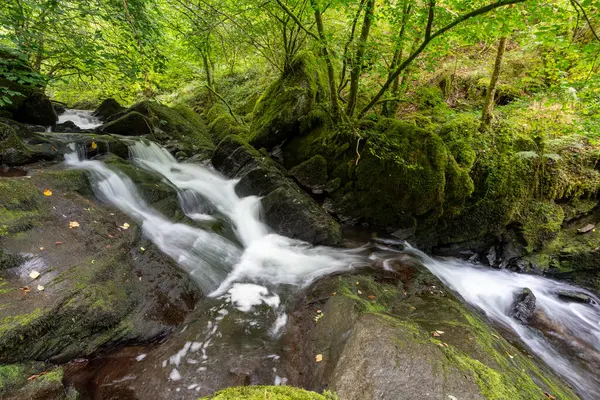 Exmoor Ulusal Parkı 'ndaki Watersmeet' te Hoar Oak Nehri 'nde uzun süre bir şelale görüldü.