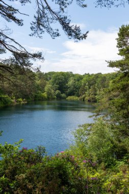 Dorset 'teki Mavi Havuz' un Fotoğrafı