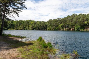 Dorset 'teki Mavi Havuz' un Fotoğrafı