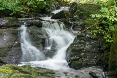 Exmoor Ulusal Parkı 'ndaki Watersmeet' te Hoar Oak Nehri 'nde uzun süre bir şelale görüldü.