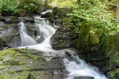 Exmoor Ulusal Parkı 'ndaki Watersmeet' te Hoar Oak Nehri 'nde uzun süre bir şelale görüldü.
