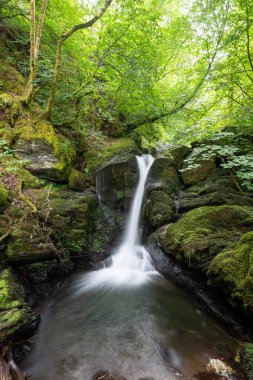 Exmoor Ulusal Parkı 'ndaki Watersmeet' te Hoar Oak Nehri 'nde uzun süre bir şelale görüldü.