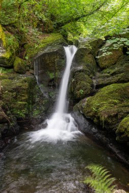 Exmoor Ulusal Parkı 'ndaki Watersmeet' te Hoar Oak Nehri 'nde uzun süre bir şelale görüldü.
