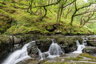 Doğu Lyn nehri üzerinde Exmoor Ulusal Parkı 'ndaki Watersmeet' te uzun süre bir şelale görüldü.