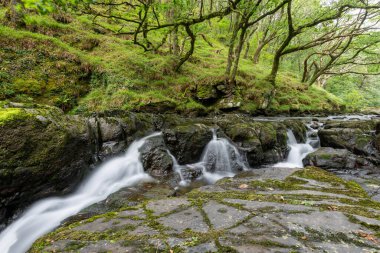Doğu Lyn nehri üzerinde Exmoor Ulusal Parkı 'ndaki Watersmeet' te uzun süre bir şelale görüldü.