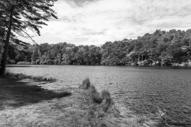 Photo of the Blue Pool in Dorset clipart