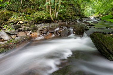 Doğu Lyn nehri üzerinde Exmoor Ulusal Parkı 'ndaki Watersmeet' te uzun süre bir şelale görüldü.