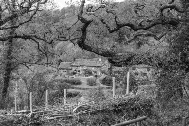 Tarr Steps. Somerset. Birleşik Krallık. 28. 2024 Tarr Farm Inn 'in Exmoor Ulusal Parkı Tarr Basamakları' ndaki fotoğrafı.