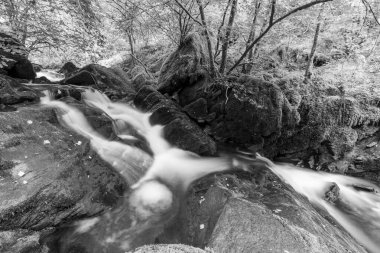 Exmoor Ulusal Parkı 'ndaki Watersmeet' te Hoar Oak Nehri 'nde uzun süre bir şelale görüldü.