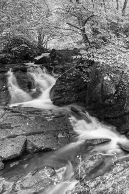 Exmoor Ulusal Parkı 'ndaki Watersmeet' te Hoar Oak Nehri 'nde uzun süre bir şelale görüldü.