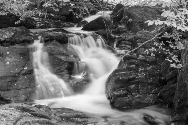 Exmoor Ulusal Parkı 'ndaki Watersmeet' te Hoar Oak Nehri 'nde uzun süre bir şelale görüldü.