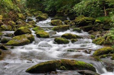 Doğu Lyn nehri üzerinde Exmoor Ulusal Parkı 'ndaki Watersmeet' te uzun süre bir şelale görüldü.