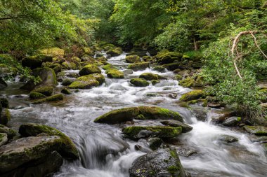 Doğu Lyn nehri üzerinde Exmoor Ulusal Parkı 'ndaki Watersmeet' te uzun süre bir şelale görüldü.