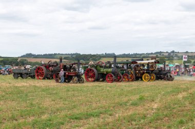 Haselbury Plucknet.Somerset.United Kingdom.August 17th 2024.A row of restored traction engines are on show at a Yesterdays Farming event clipart