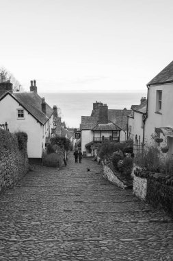Clovelly. Devon. Birleşik Krallık. 19 Ocak 2024. Clovelly Köyü 'ndeki kaldırımlı caddenin fotoğrafı.