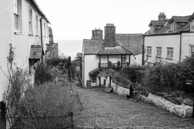 Clovelly. Devon. Birleşik Krallık. 19 Ocak 2024. Clovelly Köyü 'ndeki kaldırımlı caddenin fotoğrafı.