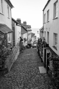 Clovelly. Devon. Birleşik Krallık. 19 Ocak 2024. Clovelly Köyü 'ndeki kaldırımlı caddenin fotoğrafı.