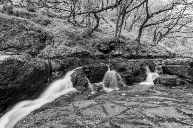 Doğu Lyn nehri üzerinde Exmoor Ulusal Parkı 'ndaki Watersmeet' te uzun süre bir şelale görüldü.