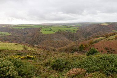 View from the top of Countisbury Hill of the autumn colours at Watersmeet Valley in Exmoor National Park clipart