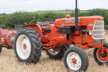 Haselbury Plucknet. Somerset. Birleşik Krallık. 17 Ağustos 2024 