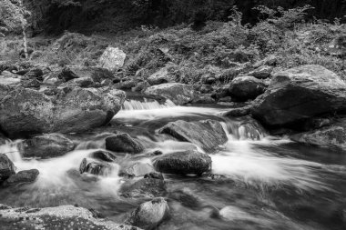 Doğu Lyn nehri üzerinde Exmoor Ulusal Parkı 'ndaki Watersmeet' te uzun süre bir şelale görüldü.