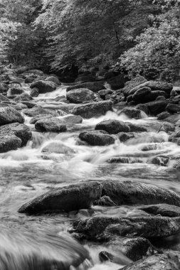 Doğu Lyn nehri üzerinde Exmoor Ulusal Parkı 'ndaki Watersmeet' te uzun süre bir şelale görüldü.