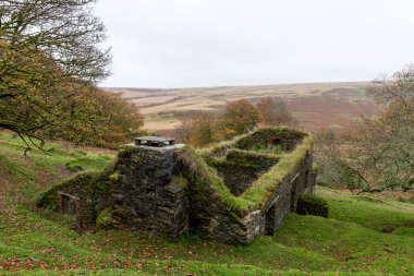 Exmoor Ulusal Parkı 'ndaki Hoar Oak Vadisi' ndeki Hoar Oak kulübesinde sonbahar renklerinin fotoğrafı