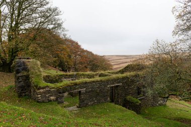 Photo of the autumn colours at Hoar Oak cottage in Hoar Oak valley in Exmoor National Park clipart