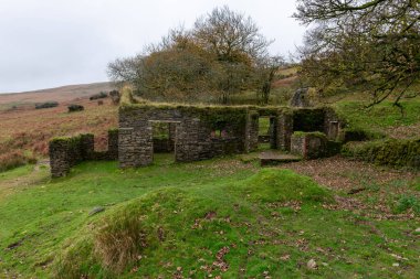 Exmoor Ulusal Parkı 'ndaki Hoar Oak Vadisi' ndeki Hoar Oak kulübesinde sonbahar renklerinin fotoğrafı