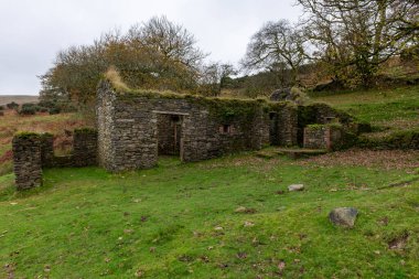 Exmoor Ulusal Parkı 'ndaki Hoar Oak Vadisi' ndeki Hoar Oak kulübesinde sonbahar renklerinin fotoğrafı