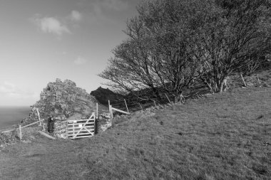 Exmoor Ulusal Parkı 'ndaki Kayalar Vadisi' nin manzara fotoğrafı.