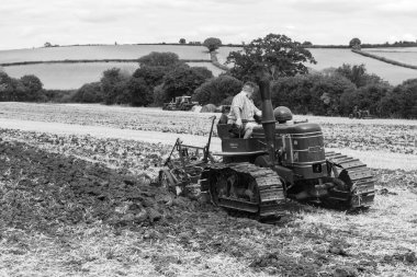 Haselbury Plucknet. Somerset. Birleşik Krallık. 17 Ağustos 2024 Restore edilmiş bir Mareşal traktörü, Dünden kalma bir çiftçilik etkinliğinde tarla sürmek için kullanılıyor.