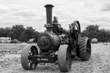 Haselbury Plucknet. Somerset. Birleşik Krallık. 17 Ağustos 2024. Margaret adında bir Fowler saban makinası, dünün çiftçilik etkinliğinde saban sürüyor.