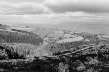 Porlock Common, Exmoor Natioanl Park 'taki Porlock Hill' in tepesinde.
