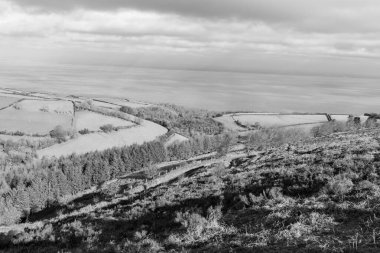 Porlock Common, Exmoor Natioanl Park 'taki Porlock Hill' in tepesinde.