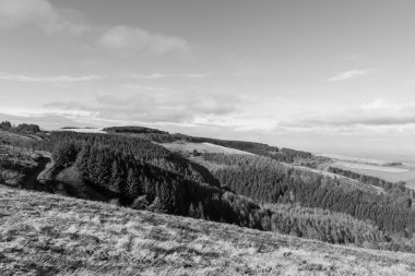 Porlock Common, Exmoor Natioanl Park 'taki Porlock Hill' in tepesinde.
