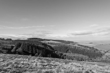 Porlock Common, Exmoor Natioanl Park 'taki Porlock Hill' in tepesinde.