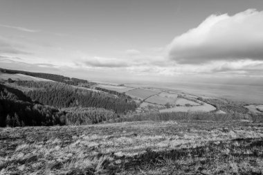 Porlock Common, Exmoor Natioanl Park 'taki Porlock Hill' in tepesinde.