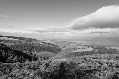 Porlock Common, Exmoor Natioanl Park 'taki Porlock Hill' in tepesinde.