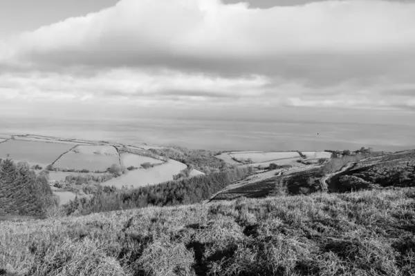 Porlock Common, Exmoor Natioanl Park 'taki Porlock Hill' in tepesinde.
