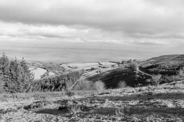 Porlock Common, Exmoor Natioanl Park 'taki Porlock Hill' in tepesinde.