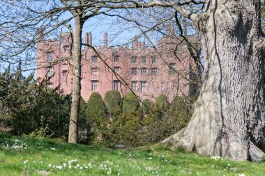 Powis Kalesi. Powys. Galler. 7. 2025. Galler 'deki Powis Kalesi' nin fotoğrafı.