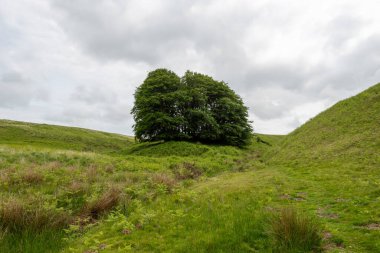 Exmoor Ulusal Parkı 'ndaki Üç Tuğla Ayağının Fotoğrafı
