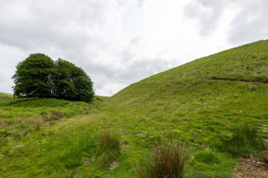 Exmoor Ulusal Parkı 'ndaki Üç Tuğla Ayağının Fotoğrafı