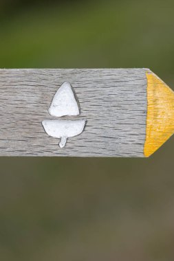 Güney batı yakasındaki patika işaretini kapat.