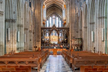 Worcester. Worcester Shire. Birleşik Krallık. 4. 2025. Worcester Katedrali 'nin içindeki naf ağacının fotoğrafı.